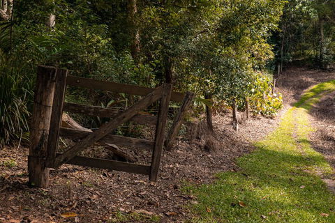 Whispering Valley Cottage Retreat - Accommodation Ballina 7