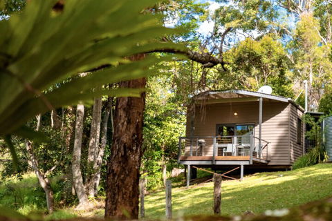Whispering Valley Cottage Retreat - Accommodation Ballina 1