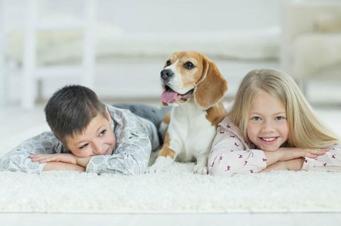 Boutique Stays Elwood Beaches 3 - Holiday Melbourne 1