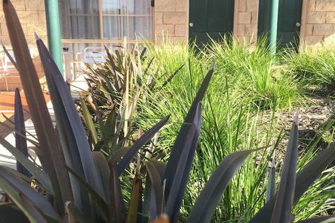 Mulwala Paradise Palms Motel - Lightning Ridge Tourism 3
