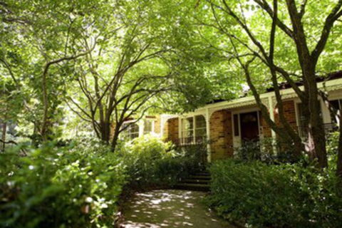 Leura Camellias - Whitsundays Tourism 0
