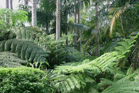 Amore Mt Tamborine - Whitsundays Tourism 1