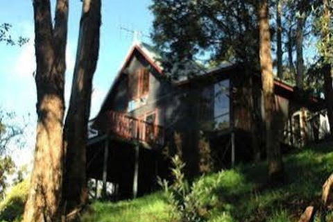 Tree Tops Cascades - Whitsundays Tourism 0