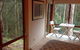 Tree Tops Cascades - thumb 4