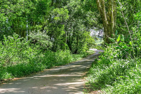 Coorabell Cottages - Accommodation Yamba 1