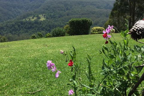 Heggys Cottage - Accommodation Yamba 4