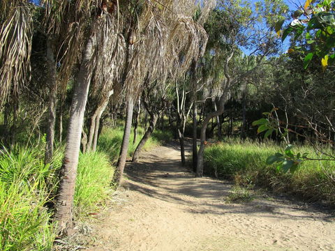 The Lovely Cottages Country Retreat - Holiday Melbourne 5