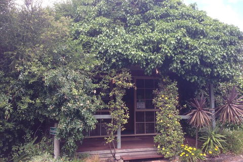 Ti-Tree Village - Accommodation Newcastle 6
