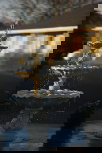 Asure Fountain Resort Motel