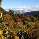 Jacksons Retreat Alpine Holiday Park
