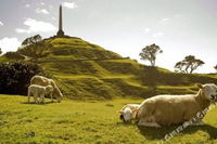 Wangwise Homestay Convair Park