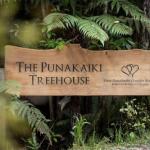 Punakaiki Treehouse