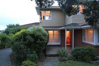 Top Forrest Hill