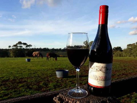Arundel Farm Estate Winery - Accommodation Australia 0
