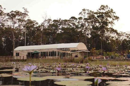 Sancrox NSW Tourism Listing