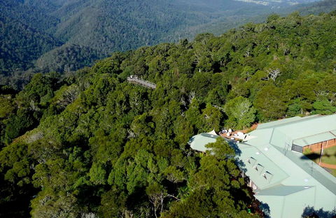 Canopy Cafe - Tourism Bookings 0