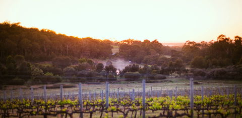 Howling Wolves Wines - Wagga Wagga Accommodation 0