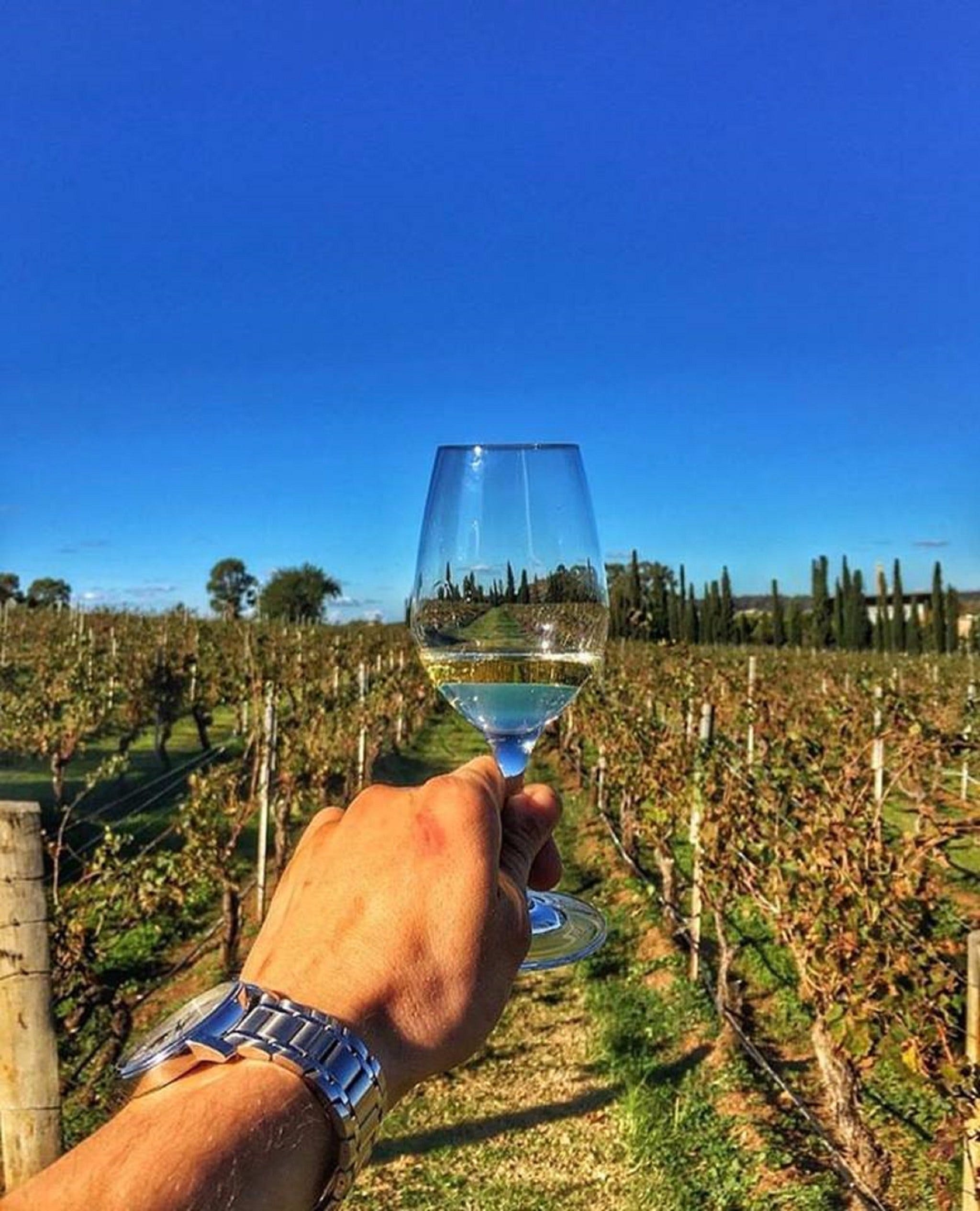 Lake's Folly Vineyard - thumb 1