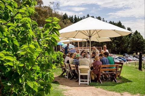 Anderson Hill Cellar Door - Northern Rivers Accommodation 2