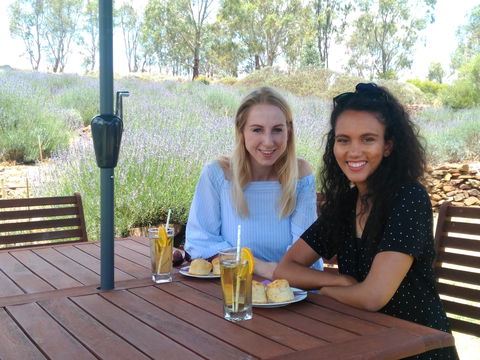 Lyndoch Lavender Farm Cafe - Accommodation Georgetown 1