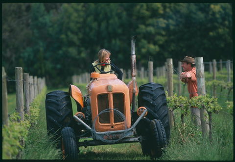 Oranje Tractor Wine - Tourism Bookings 0