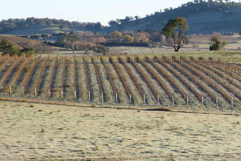 Patina Wines - Tourism Bookings 0