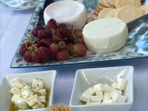 Sunhill Dairy Goats And Sunhill Skin Essentials - Wagga Wagga Accommodation 1