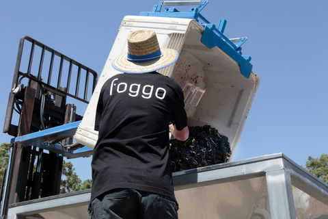 Foggo Wines - Accommodation Directory 1