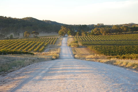 Stone Bridge Wines - Accommodation Mount Tamborine 0