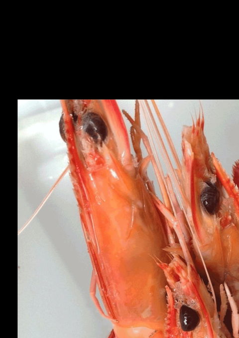 The Prawn Shack - Book Restaurant 0