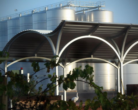 Andrew Peace Wines - Victoria Tourism 2