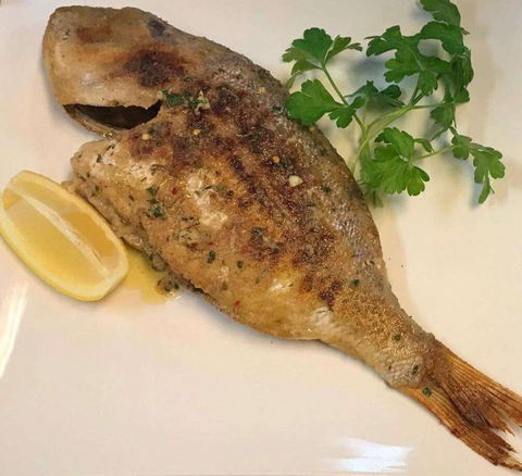 Sassone Cucina Italiana - Accommodation Broken Hill 0