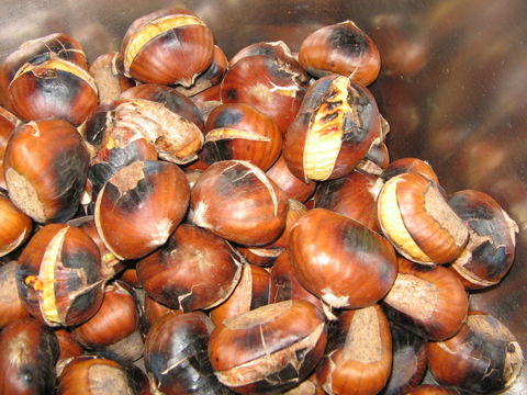 Tweenhills Chestnuts - Casino Accommodation 0