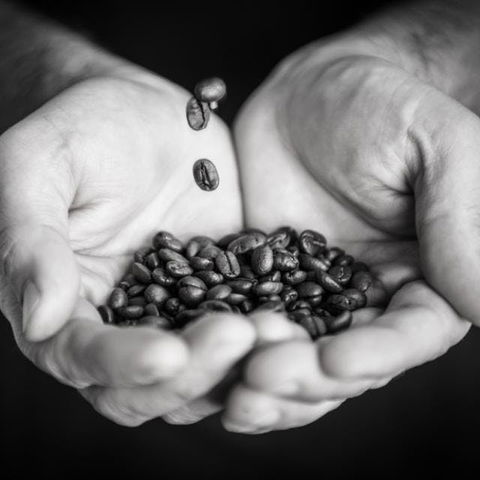 The Caffeine Project - Casino Accommodation 0