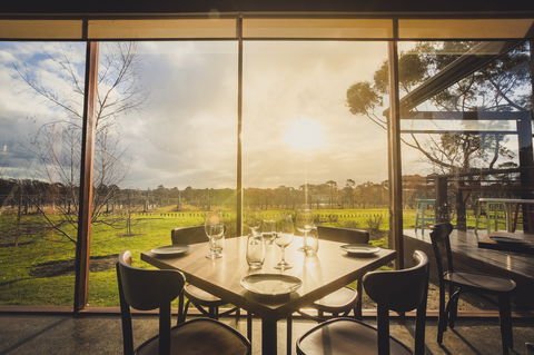 Stumpy Gully Vineyard - Accommodation Find 1