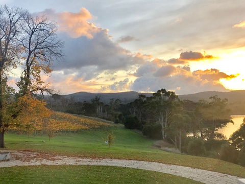 Waterton Hall Wines - Accommodation Australia 1