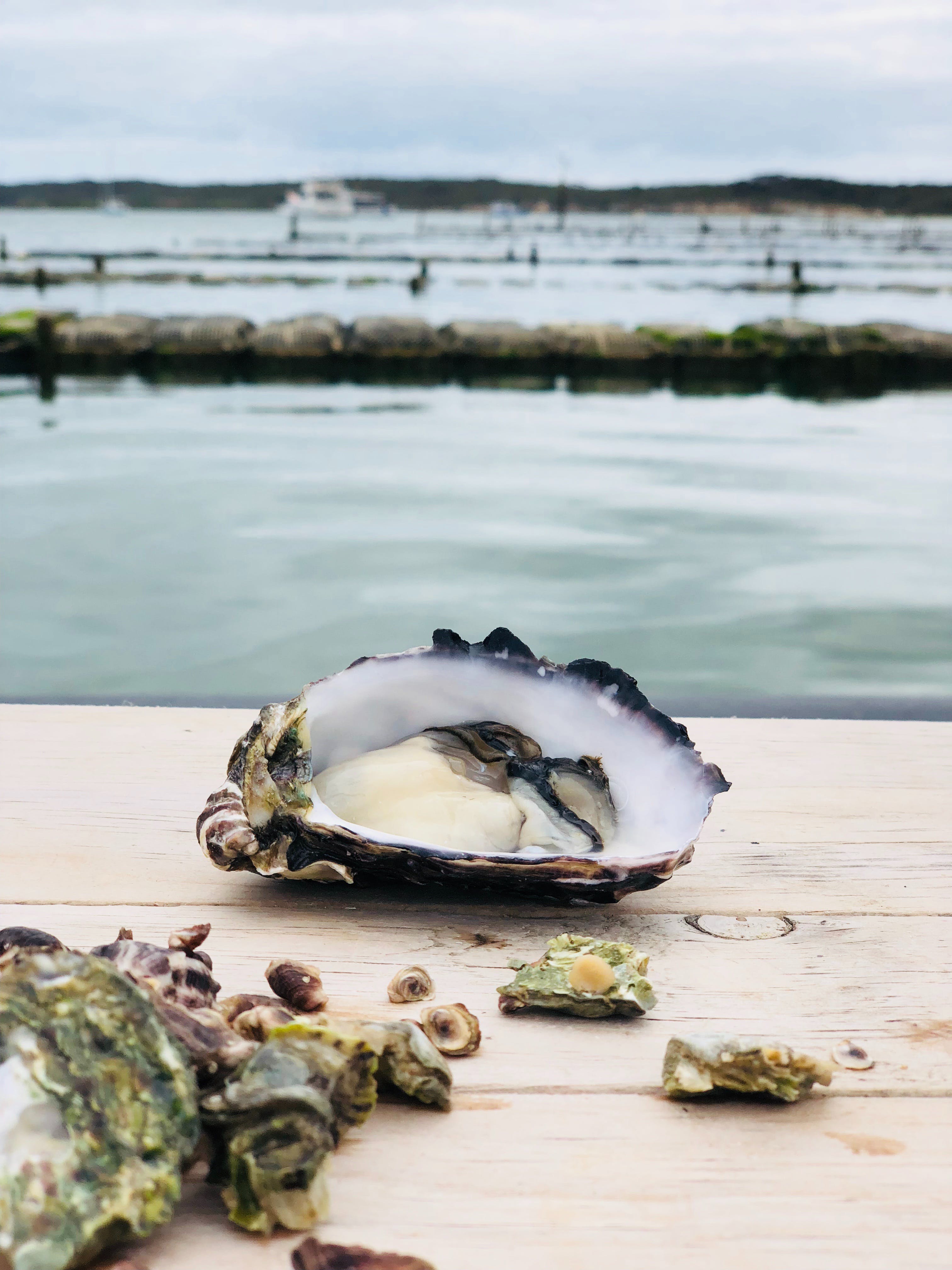 Oyster HQ - thumb 1