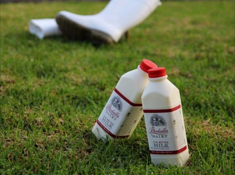 Bodalla Dairy - Cheese, Milk And Ice Cream Factory And Cafe - Casino Accommodation 0