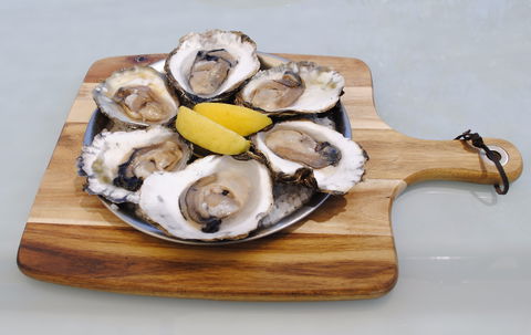 The Little Mussel Cafe - Accommodation Australia 1