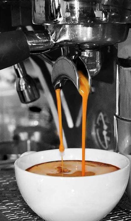 Arthouse Kitchen - Tourism Bookings WA 7
