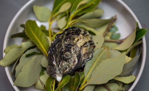 Black Ox Dining - Accommodation Australia 7