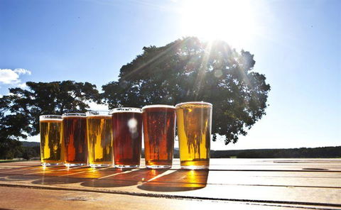 Eagle Bay Brewing Co - Accommodation Australia 13