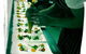 Bistro 289 - thumb 12