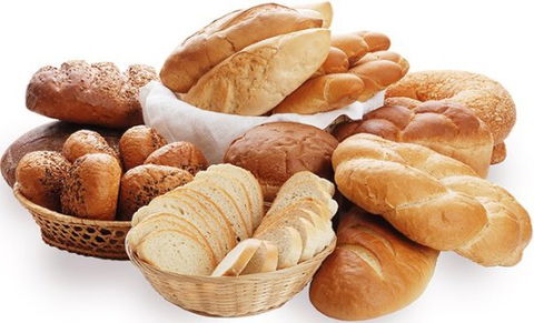 Howard Springs Bakery - Accommodation Australia 0