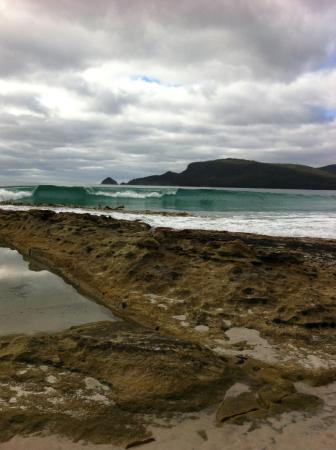 Bruny Island Berry Farm - Casino Accommodation 0