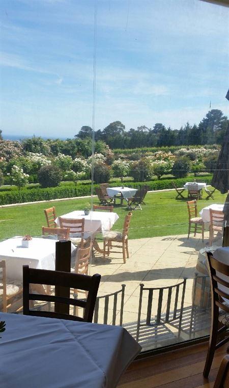 Morning Star Estate Venue - Accommodation Australia 13