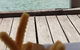 Chocolateria San Churro - thumb 4