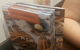Chocolateria San Churro - thumb 7