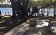 Cafe By The Bridge - thumb 2
