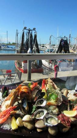 Tempest Seafood Restaurant & Teppanyaki Grill - Tourism Listing 0